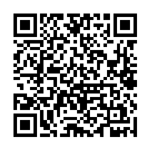 狼王不知为何想起来那个总是提着把大刀的白衣少女二维码生成