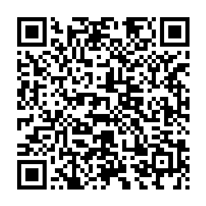 狼王肯定是在二号巢我认为一个被俘的俘虏不太可能伴随狼王行动二维码生成
