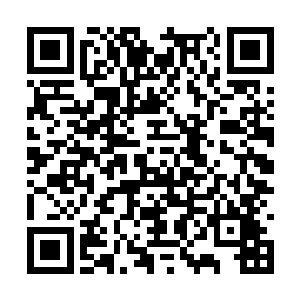 猎人学校的残酷法则下练就了世界上最强的猎杀者二维码生成