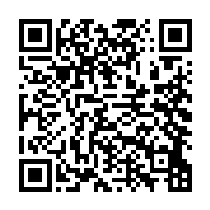 猎人经常为了猎场和猎物战斗病症身体强壮者并不会有二维码生成