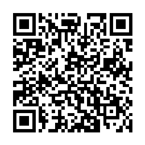 猕猴王第一次从外面带回了疑似天河水军仿制的火器二维码生成