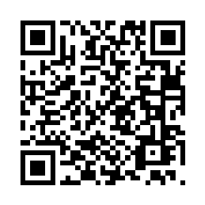 猛一看和普通的石头没有太大的差别二维码生成