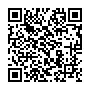 猛听到桶内古怪的声音--白小飞边敲桶壁边呵呵叫着二维码生成