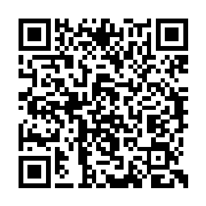 猛地对着阴阳金刚轮和五行金刚轮喷出一口精血二维码生成