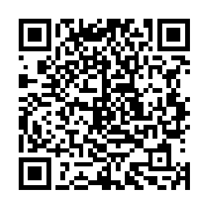 猛烈的刺激让我和王岚两个人的身体全都不由自主的抖动着二维码生成