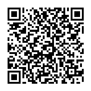 猛然一下把自己的手臂垫到车身和三轮车之间那刚刚抬起来的缝隙上缓冲二维码生成