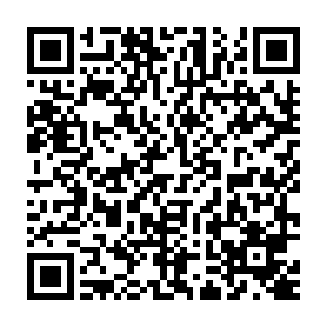 猛然后退来到王燕姐弟两人面前帮助两人抵挡这些肆虐的元神余波二维码生成