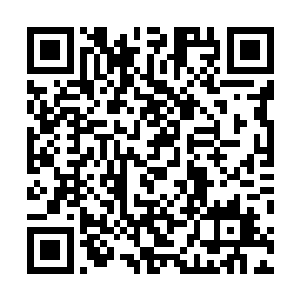 猛然间便听到了那个尖锐女子的声音就在耳边炸响开来了二维码生成