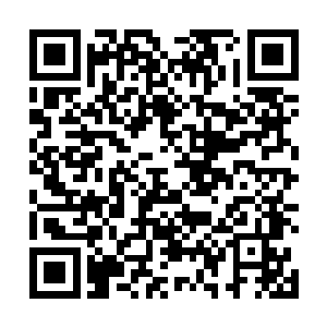 猛然间便感觉到一阵剧烈的法力波动在空间震荡了起来二维码生成