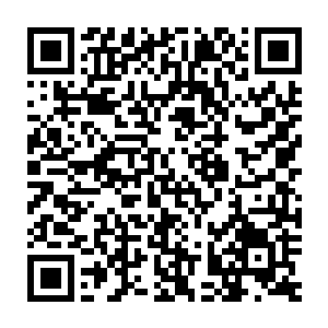 猛然间想到自己现在吃的大蟠桃可是桃花在炼气期的时候结出来的果实二维码生成