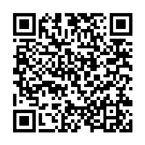 猛然间看到这么一大群年轻姑娘跑到自己家院子里来二维码生成