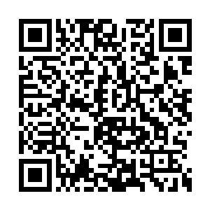 猛的从中延伸出藤蔓一样的黑色物质袭向流墨墨二维码生成