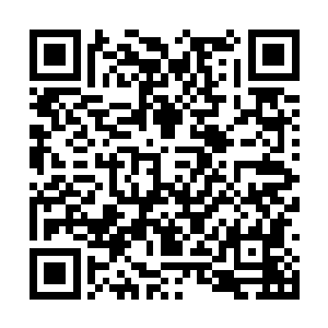 猛虎特战队的作战特点就是打完一枪必须快速奔离二维码生成