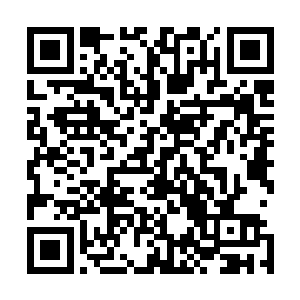 猜测着流年几个人什么时候和俱乐部里的人混的这么熟悉了二维码生成