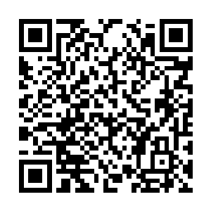 猜测荣耀至死用这首歌来隐藏他们内心真正的梦想二维码生成