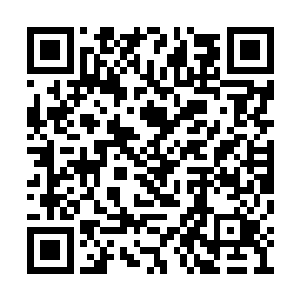 猝地响起一道竭斯底里充满了杀戮之意的咆哮声二维码生成