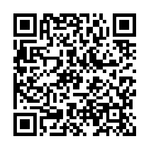 猝然如似有一面模糊的赤鸾之相从刀上冲了起来二维码生成