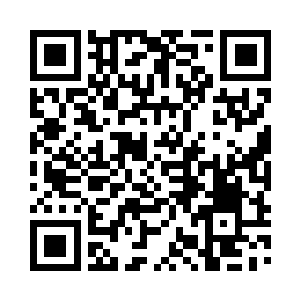 猝然将怀中的小猫当做一个炸弹伸到原联面前二维码生成