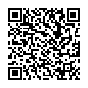 猩红修道院里应该有不少被妖神执行者控制了心智的凡人二维码生成