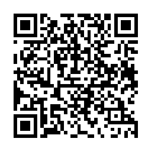 猪不能瞧见对方居然能够将这迷雾之海里头的迷雾驱使来用二维码生成