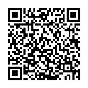 猪肉两块多一斤……一家人一年到头也赚不够一百块二维码生成