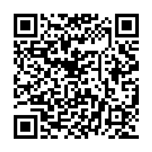 猫儿一样的女子脸上流露出了挣扎和犹豫的表情二维码生成