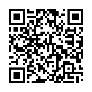 猫大人愤愤然的看着这位无良的主人二维码生成