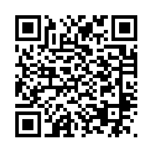 猫头鹰在首尔也许掀不起多大的风浪二维码生成