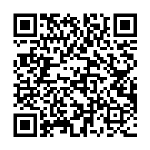 猫女造型这个项目更像是一个结合了工程和美学的项目二维码生成