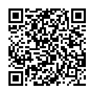 献祭自己的精神安宁无法带给她某种程度的精神满足二维码生成