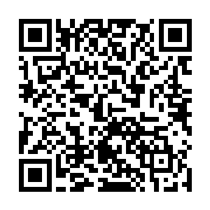 猴子他们也都是一样的想法––你能体会我们的感受吗二维码生成