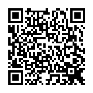 猴子却依旧不为所动地将他一点一点地朝下方的大海推去二维码生成