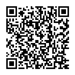 猴子和憨牛护卫在云峥头顶的大盾牌上扑簌簌的落下来无数的小石块二维码生成