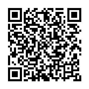 猴子已经将鼍洁被悉数打折的四肢扎成了蝴蝶结二维码生成