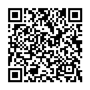 猴子已经重重地撞在旗舰慌忙中撑开的拒流阵上二维码生成