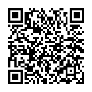 猴子当即挥舞着金箍棒朝着那几条水龙卷扫了过去二维码生成