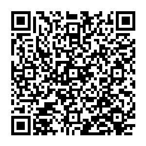 猴子更期待的是须菩提会用什么办法让只有纳神境修为的猴子学上炼神境才能学的道法二维码生成