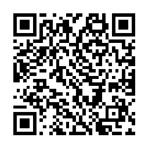 猴子盯着如同深渊一般漆黑无比的河水一动不动地站着二维码生成