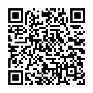 猴子看到云层之中有一青一橙两条龙在奋力跃动二维码生成