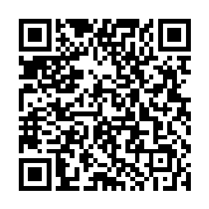 猴子老鼠以及正顺着红点追踪而去的和尚和小李探花二维码生成