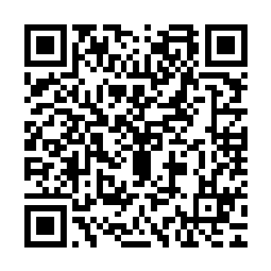 猴子闭上眼睛躺在地上的积水之中任凭倾盆大雨冲刷着自己的脸二维码生成