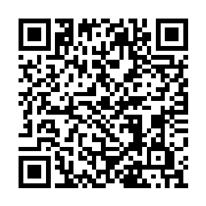 猿妖王和熊妖王带着众人来到一处巨大的山洞前二维码生成