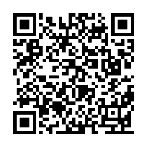 玄九玥听不出是恭喜还是讥讽的声音从对面传来二维码生成