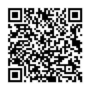 玄冥神尊可是妖神宗最不讲道理的一位武宗强者二维码生成