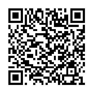 玄剑副府主是在恼怒东都学府这一届的不争气吧二维码生成