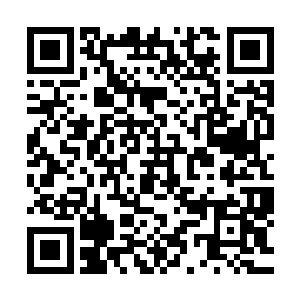 玄宇城城主扎克阴阴地盯着被两个无角人抱在怀里的无角小孩二维码生成