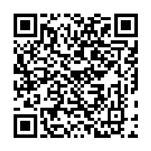 玄情天后……一个又一个绝世强者燃烧自己的性命去战斗二维码生成