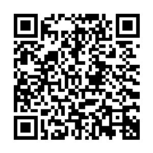 玄洪真人似乎很怀念之前那种玄学界高踞世俗政府之上的岁月二维码生成