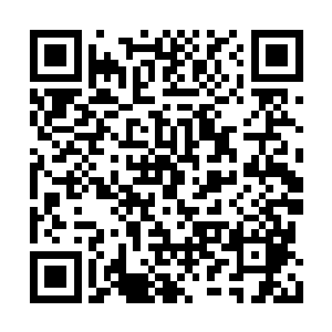 玄皇门带领战气大陆的人类战师和水龙战尊抗衡二维码生成