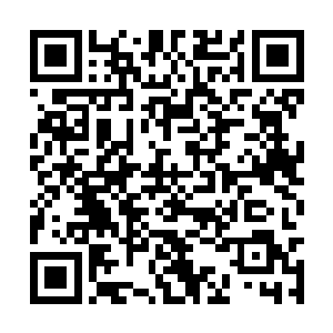 玄真毅带着一名神色漠然的中年大乘后期巅峰修士二维码生成